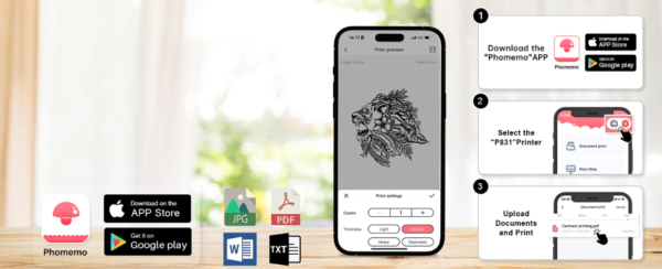 Capture d’écran 2025-11-14 144101 2 Rubans de Remplacement P831