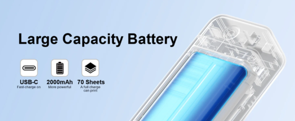 Capture d’écran 2025-11-14 144130 2 Rubans de Remplacement P831